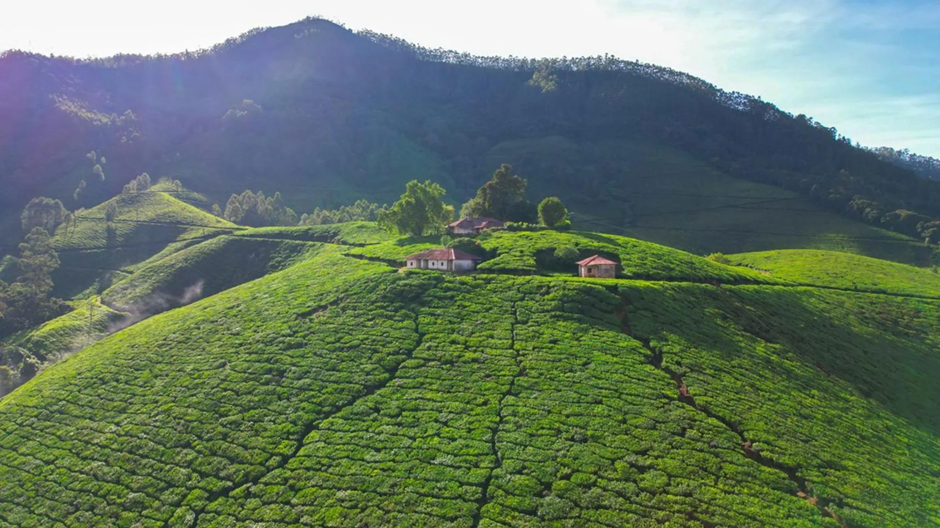 Munnar Tea Bungalows With Waterfalls By Voye Homes 0*,