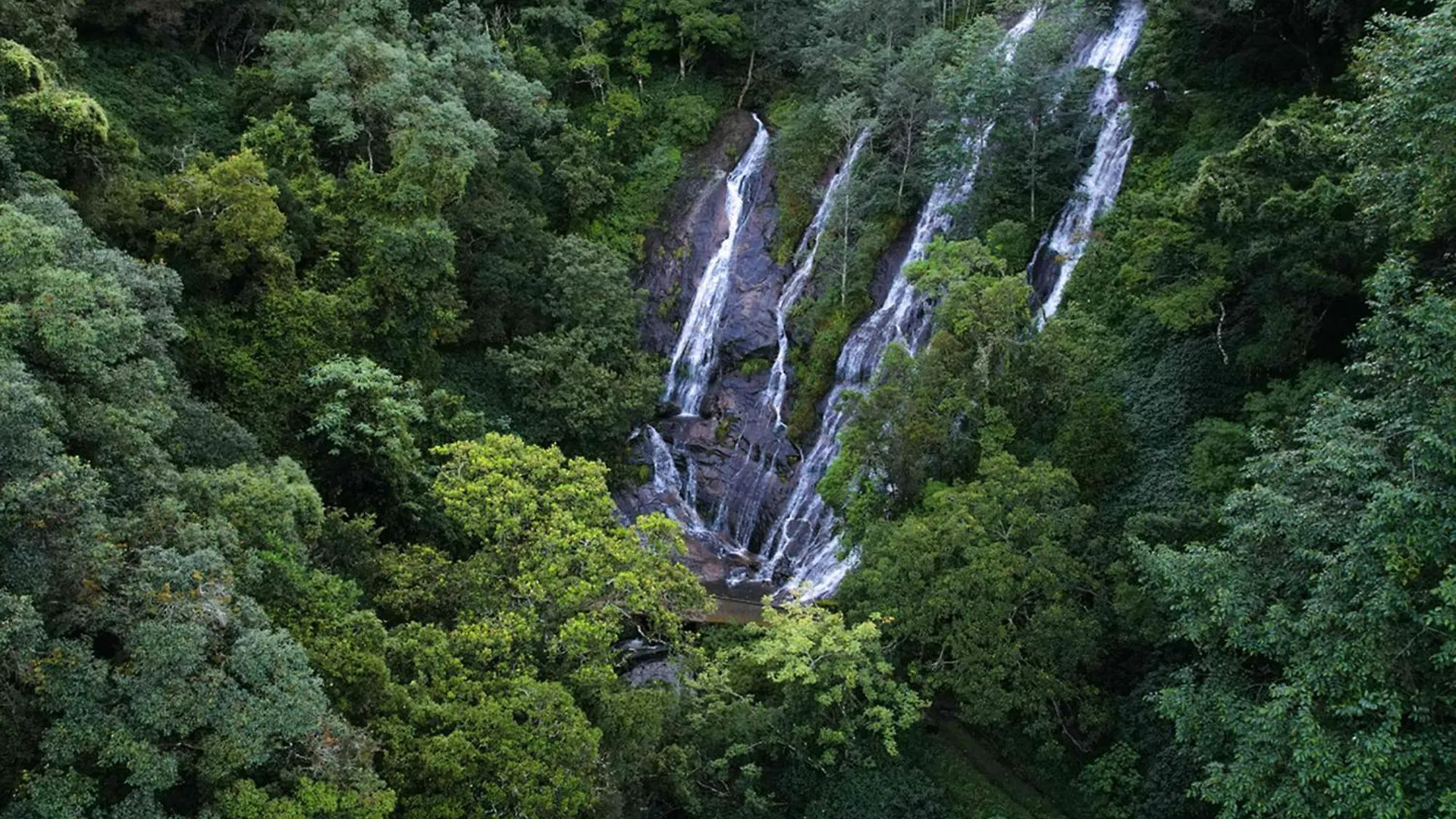 Munnar Tea Bungalows With Waterfalls By Voye Homes 0*,  India
