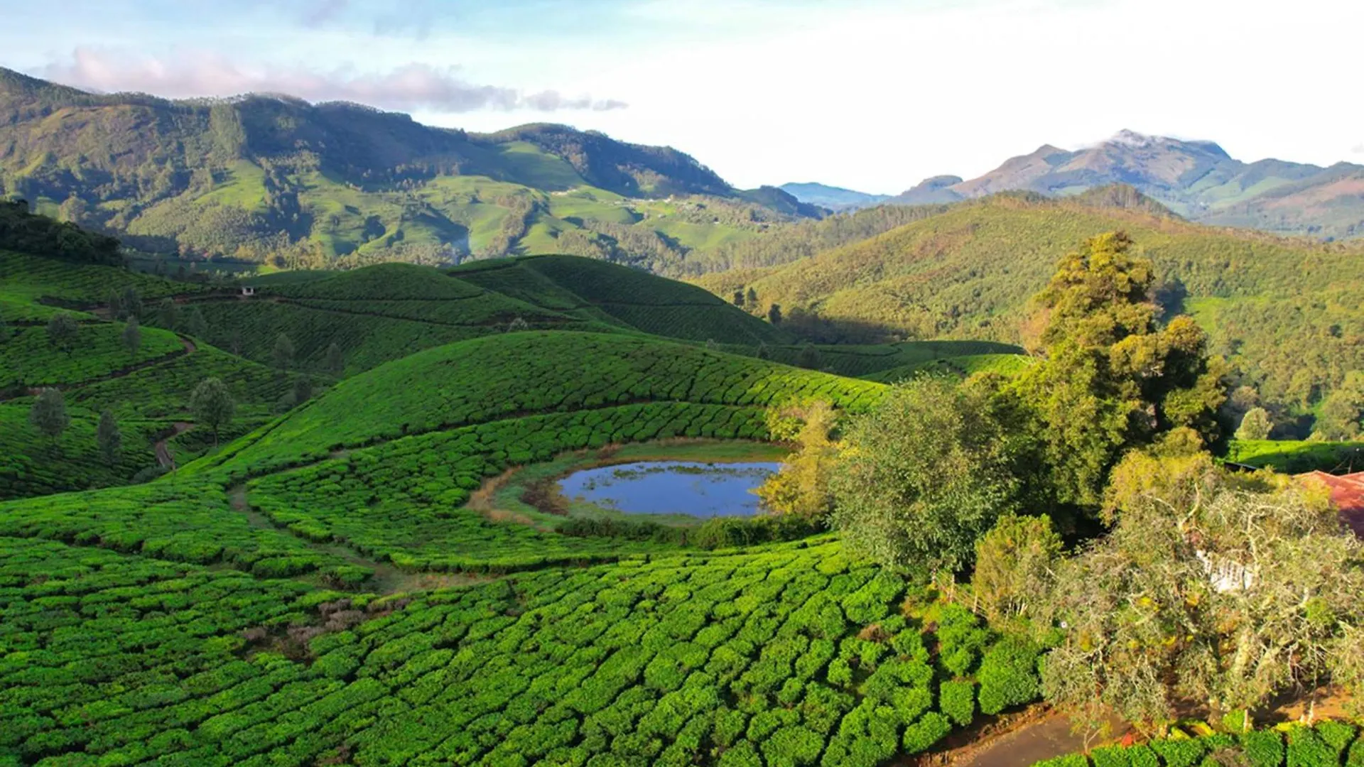 Munnar Tea Bungalows With Waterfalls By Voye Homes India